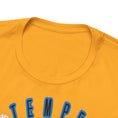 Load image into Gallery viewer, Tempest Federation Unisex Jersey Short Sleeve Tee
